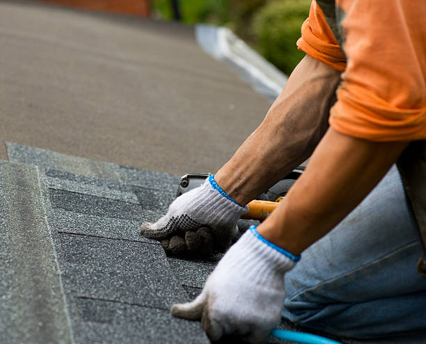 Best Roof Gutter Cleaning  in Shoreacres, TX